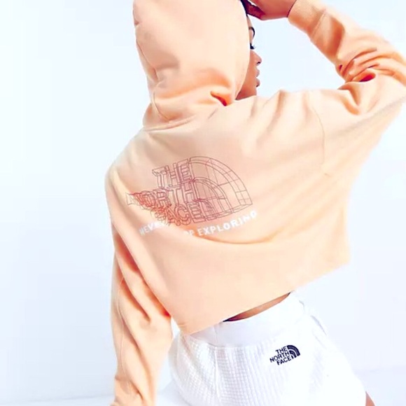 NWT The North Face Coordinates Hoodie with Back Graphic in Apricot XL - Picture 4 of 10